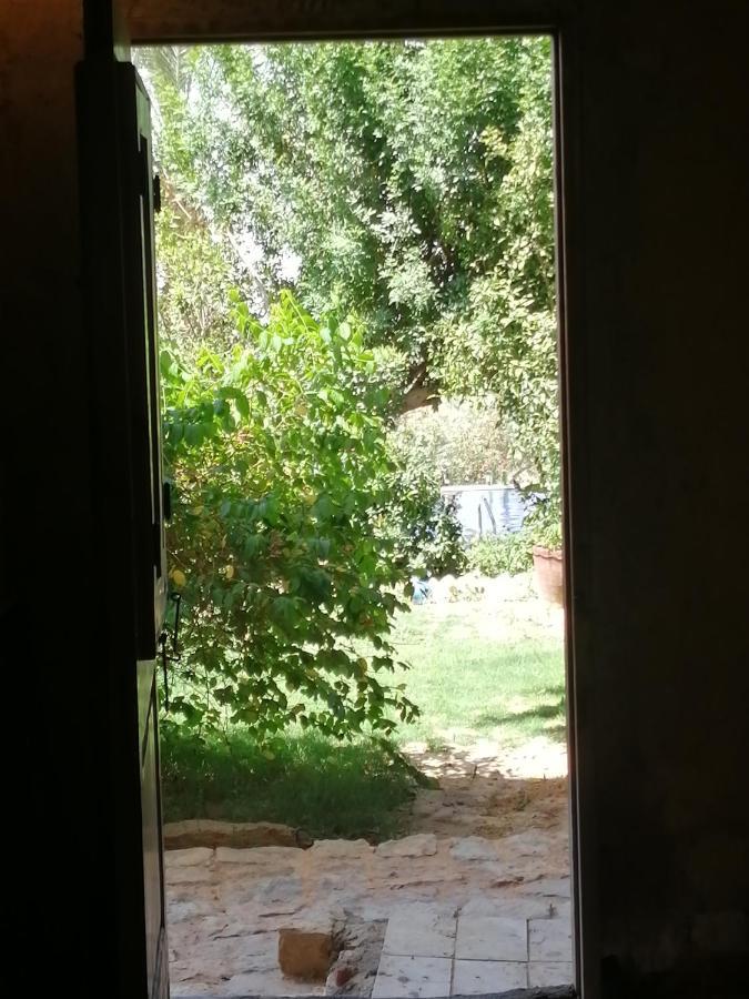 Studio In Byoum By Qaroun Lake In Fayoum Qaryat at Ta'mir as Siyahiyah Екстер'єр фото